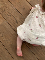 Bloomer Frill Milkflower